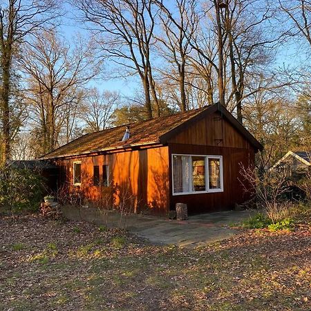 Вилла Basic Natuurhuisje Ommen/Beerze Экстерьер фото