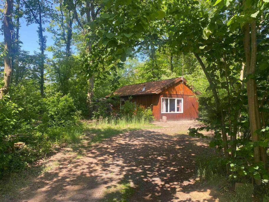 Вилла Basic Natuurhuisje Ommen/Beerze Экстерьер фото